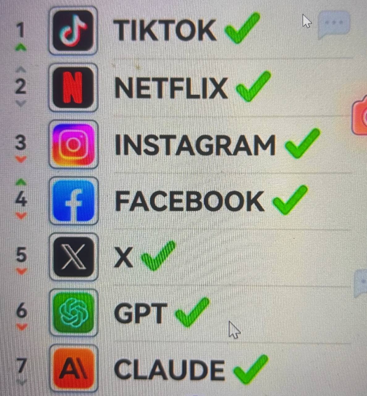 快狸用户提供的单次服务状态截图，TikTok、Netflix、Instagram、Facebook、X、GPT 与 Claude 名称旁显示绿色勾选